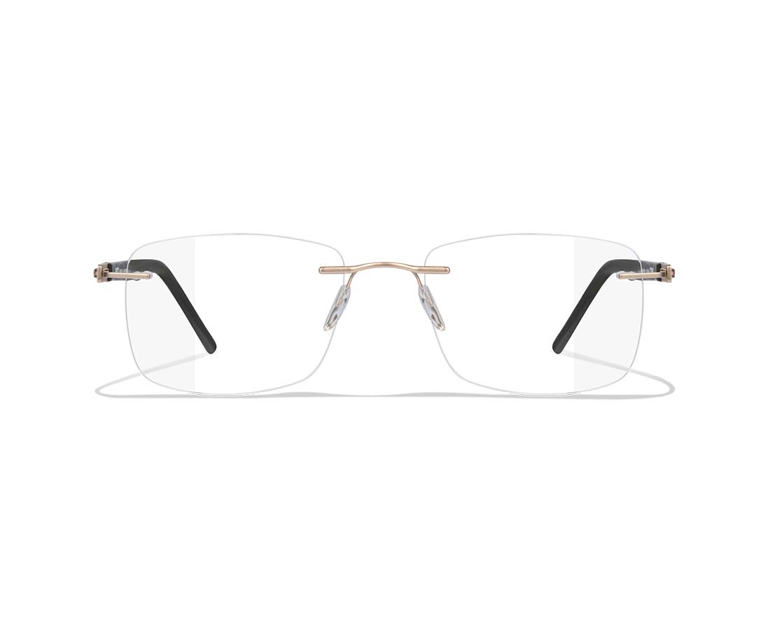 EYEWEAR RL232/D